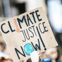 Climate in Court: Defining State Obligations on Global Warming Through Domestic Climate Litigation - Pau de Vilchez Moragues - Edward Elgar, April 2022