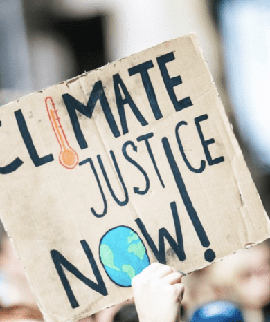 Climate in Court: Defining State Obligations on Global Warming Through Domestic Climate Litigation - Pau de Vilchez Moragues - Edward Elgar, April 2022